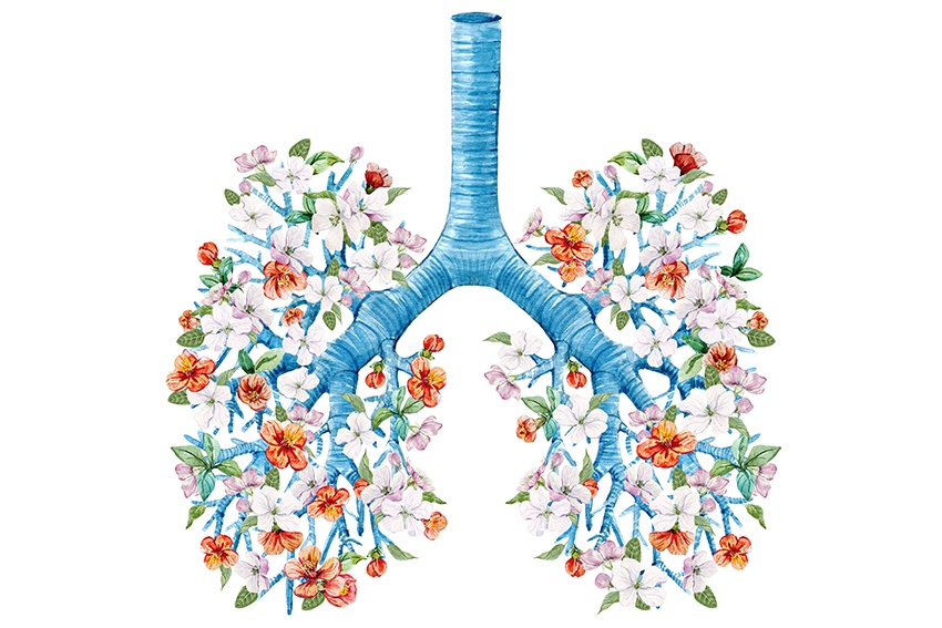 Lungs and Chinese Medicine graphic